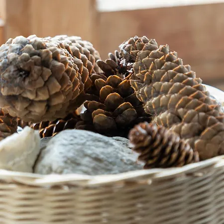 Chesa-strimer - Stueva Sur לה פונט-שמוס-סאז'