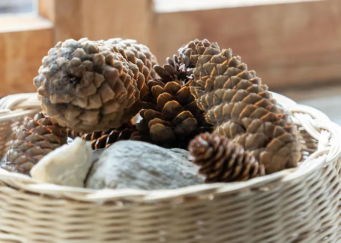 Chesa-strimer - Stueva Sur La Punt-Chamues-ch