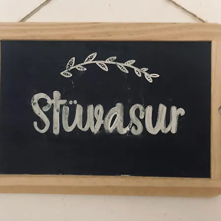 Chesa-strimer - Stueva Sur * La Punt-Chamues-ch