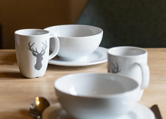 Chesa-strimer - Stueva Sur *